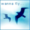 Wanna fly!